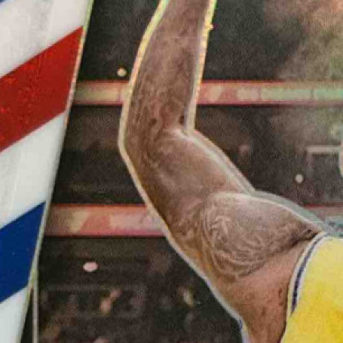 2024-25 Panini Prizm LeBron James Red White and Blue #130 Los Angeles Lakers - Sports Cards