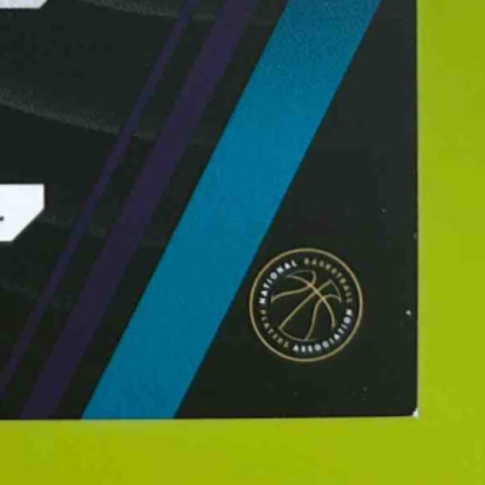 2024-25 Panini Select Tidjane Salaun Private Signings RC Auto Charlotte Hornets - Sports Cards