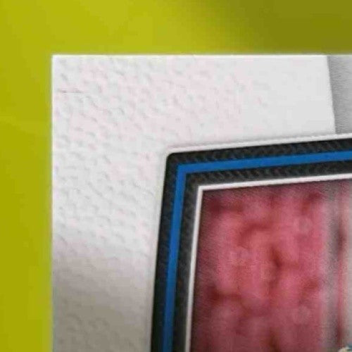 2024 Certified Brenden Rice Freshman Fabric Mirror Signatures Bronze/349 RC Auto - Sports Cards