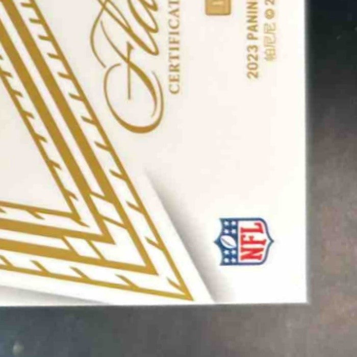 2024 Panini Flawless Michael Vick Star Swatch Signatures Auto /20 Falcons - Sports Cards
