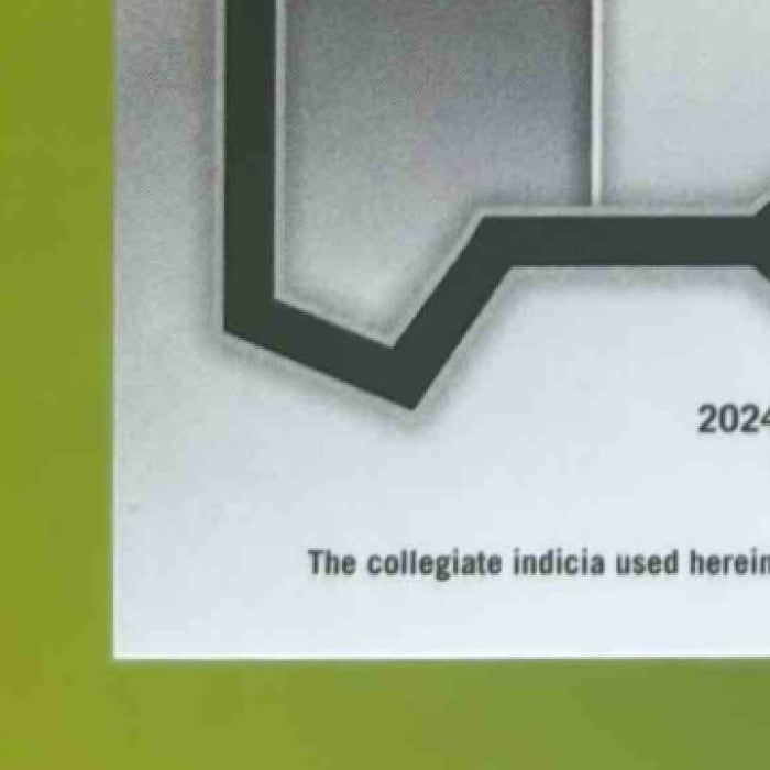 2024 Panini Prizm Draft Magic Johnson Purple Pulsar /55 #23 Spartans - Sports Cards