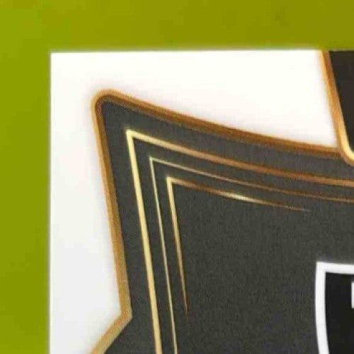 2024 Panini Select Howie Long Concourse Neon Green Prizm Shock /599 #60 Raiders - Sports Cards