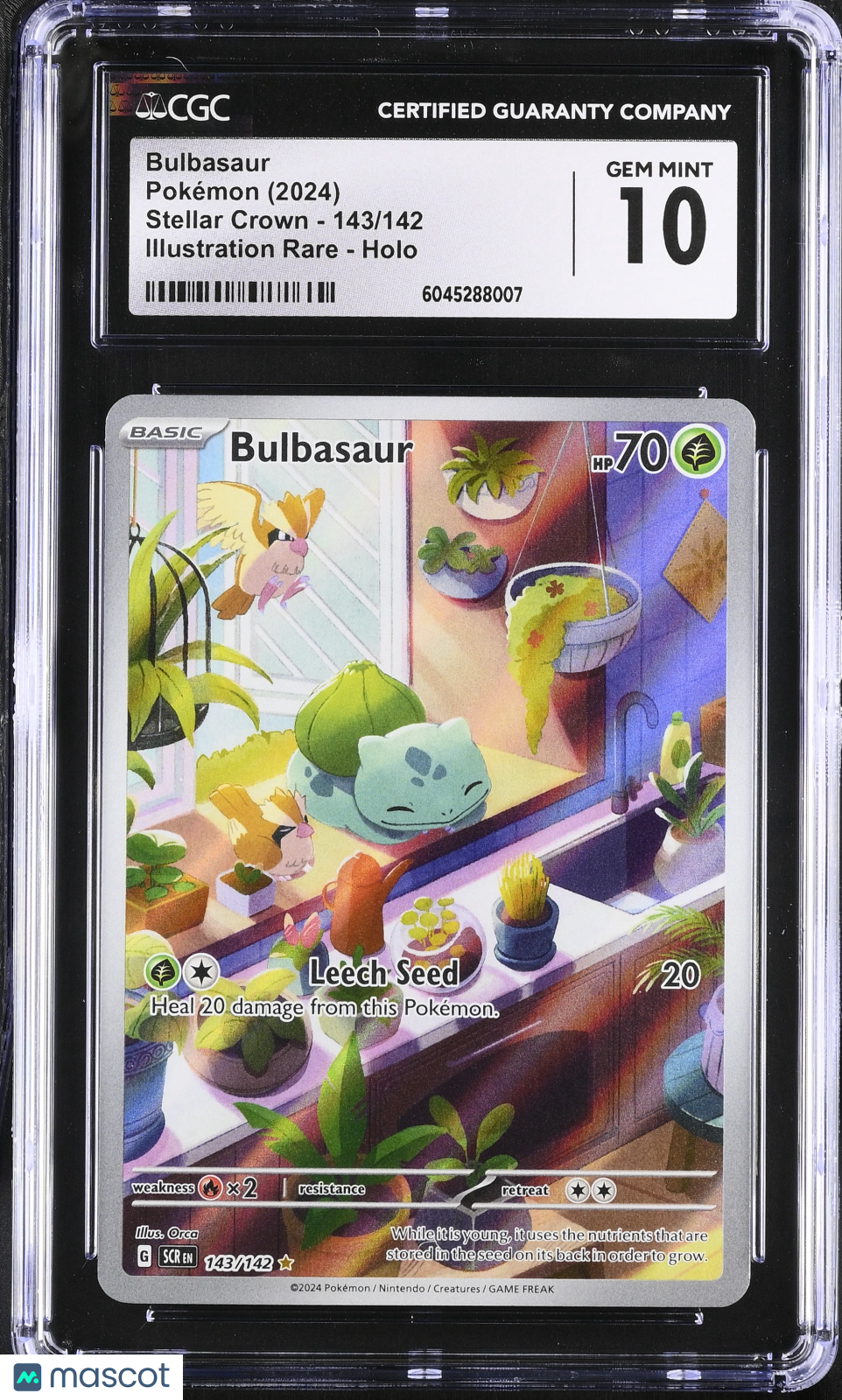 2024 Pokémon Stellar Crown Bulbasaur #143/142 English CGC 10 - Graded TCG/CCG