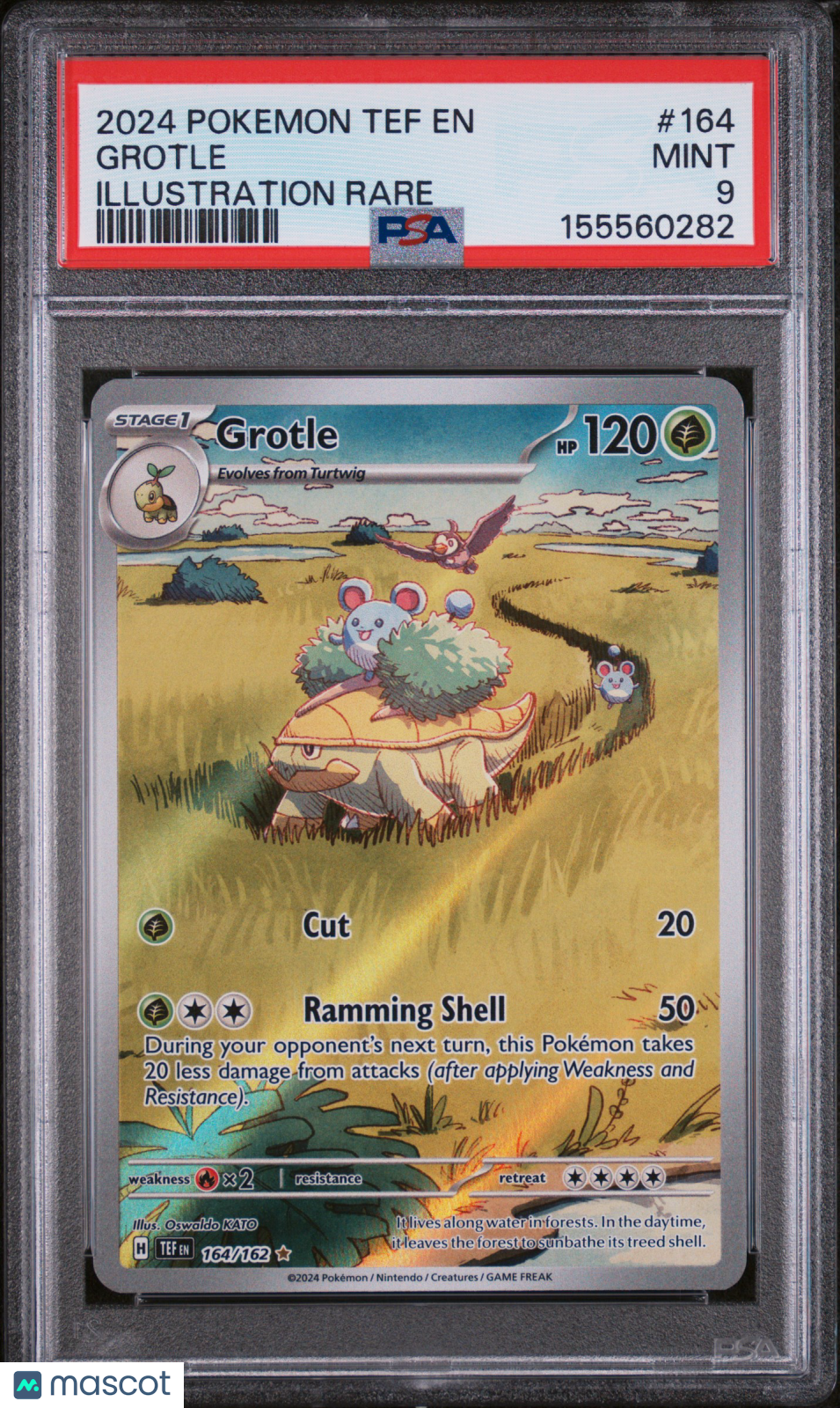 2024 Pokemon Tef EN-Temporal Forces Grotle #164 Illustration Rare PSA 9 - Graded TCG/CCG
