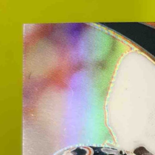 2024 Select Ron Rivera Signatures White Silver Holo Prizm /50 Auto Chicago Bears Sports Cards