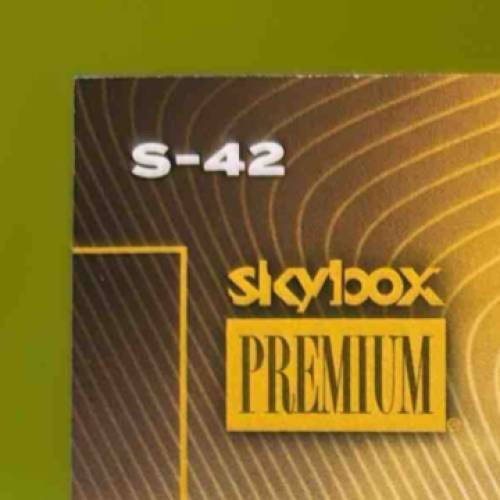 2024 SkyBox Metal Universe Champions Logan Diggs Skybox Premium Gold #S-42 Auto - Sports Cards