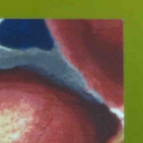 2024 Topps Chrome Garbage Pail Kids 7 ROY L. Flush Art by Rory Auto Gold /50 - Non-Sports Cards