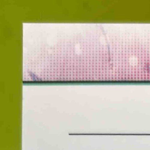 2024 Topps Inception Jasson Dominguez Auto Relic Cards Fielding Glove 11/25 NYY Sports Cards