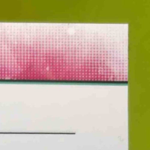 2024 Topps Inception Jasson Dominguez Auto Relic Cards Fielding Glove 11/25 NYY Sports Cards