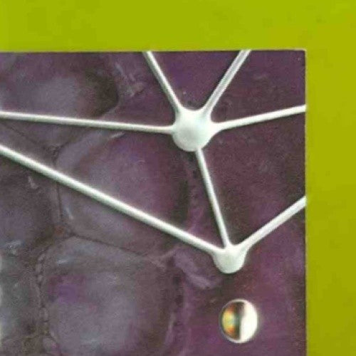 2024 Topps Resurgence Arian Foster Molecular Marks Auto Gold Surge /50 Texans - Sports Cards