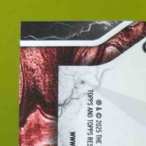 2024 Topps Resurgence Doug Williams Signature #RS-DW Auto Tampa Bay Buccaneers - Sports Cards