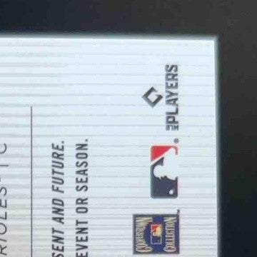 2024 Topps Tribute Adley Rutschman / Cal Ripken Jr /50 Dual Relics Purple 18/50 - Sports Cards