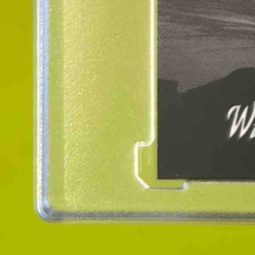 2024 Wild Card Alumination DinoMight Jalen Milroe Triceratops Foil Holo 1/1 - Sports Cards