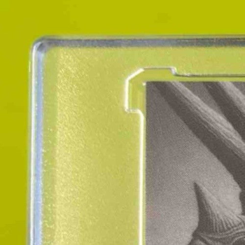 2024 Wild Card Alumination DinoMight Jalen Milroe Triceratops Foil Holo 1/1 - Sports Cards