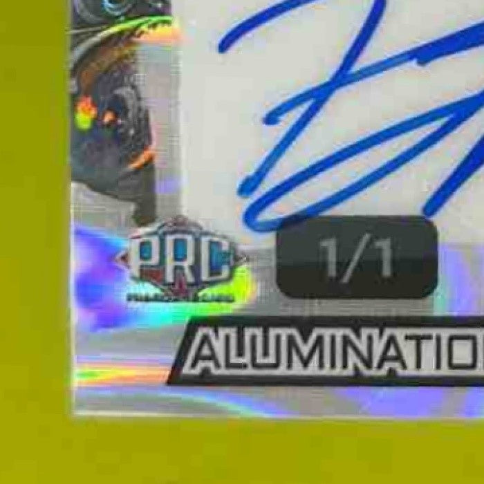 2024 Wild Card Dino-Might Auto 1/1 PJ Morlando - Sports Cards