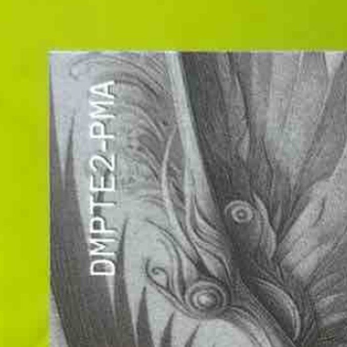 2024 Wild Card Dino-Might Auto 1/1 PJ Morlando - Sports Cards