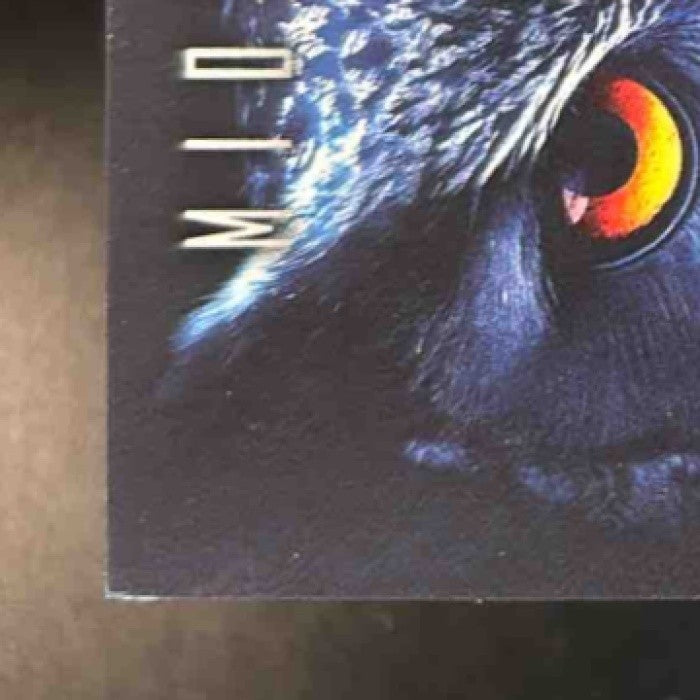 2025-26 Topps Midnight Jeremiah Fears Night Owls #NO-22 New Orleans Pelicans - Sports Cards