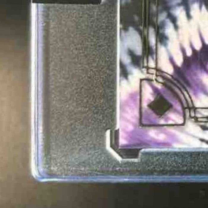 2025 5 Card Draw Tyler Warren Auto ’True 1/1’’ Purple - Sports Cards