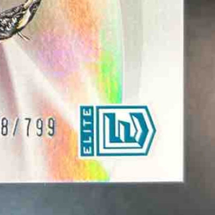 2025 Donruss Elite Travis Hunter Rookie Elitist /799 #6 Jacksonville Jaguars - Sports Cards