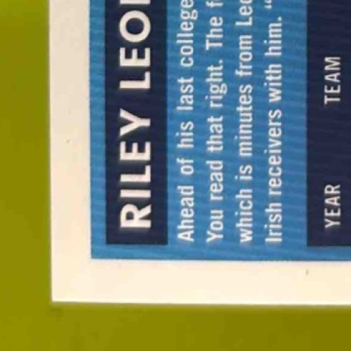 2025 Donruss Riley Leonard Press Proof Purple #341 RC Indianapolis Colts - Sports Cards