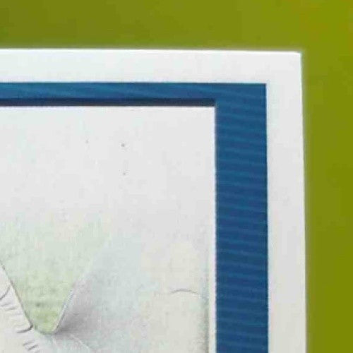 2025 Donruss Riley Leonard Press Proof Purple #341 RC Indianapolis Colts - Sports Cards