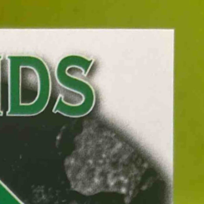 2025 Leaf Metal David Shields Diamond in the Rough Auto Silver /49 - Sports Cards