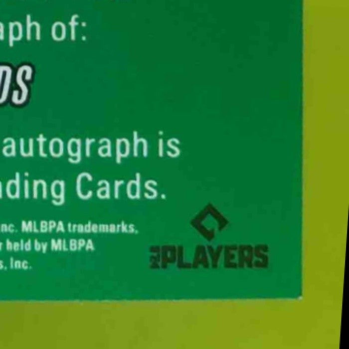 2025 Leaf Metal David Shields Diamond in the Rough Auto Silver /49 - Sports Cards