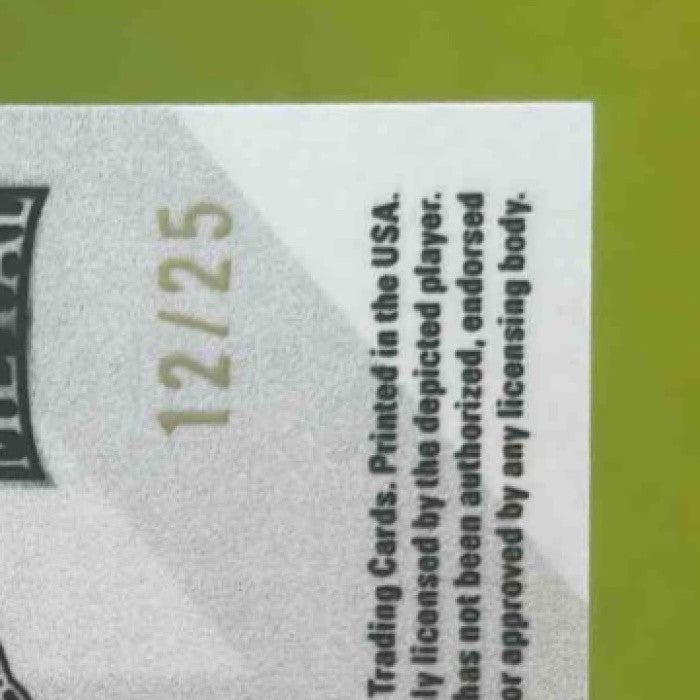 2025 Leaf Metal Devin Taylor Next In Line /25 Auto - Sports Cards