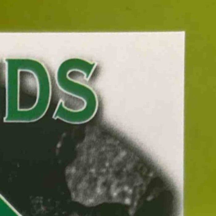 2025 Leaf Metal Quentin Young Diamond in the Rough Auto Silver /49 #DR-QY1 - Sports Cards