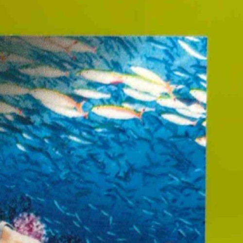 2025 Leaf Signature Series Carlos Boozer Aquatic Lava Orca 1/1 #A-CB2 Auto - Sports Cards