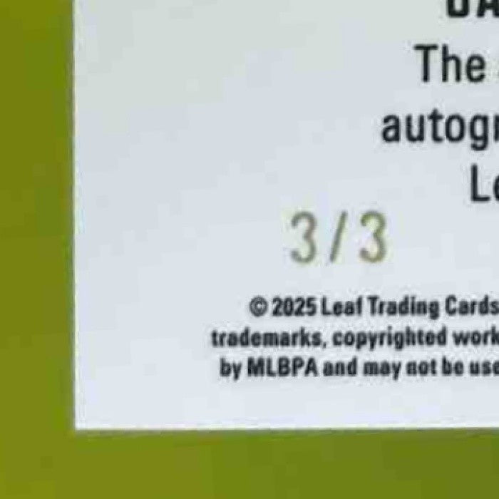 2025 Leaf Vivid Andrew Salas PJ Morlando Carter Johnson Triple Exposure Auto /3 - Sports Cards