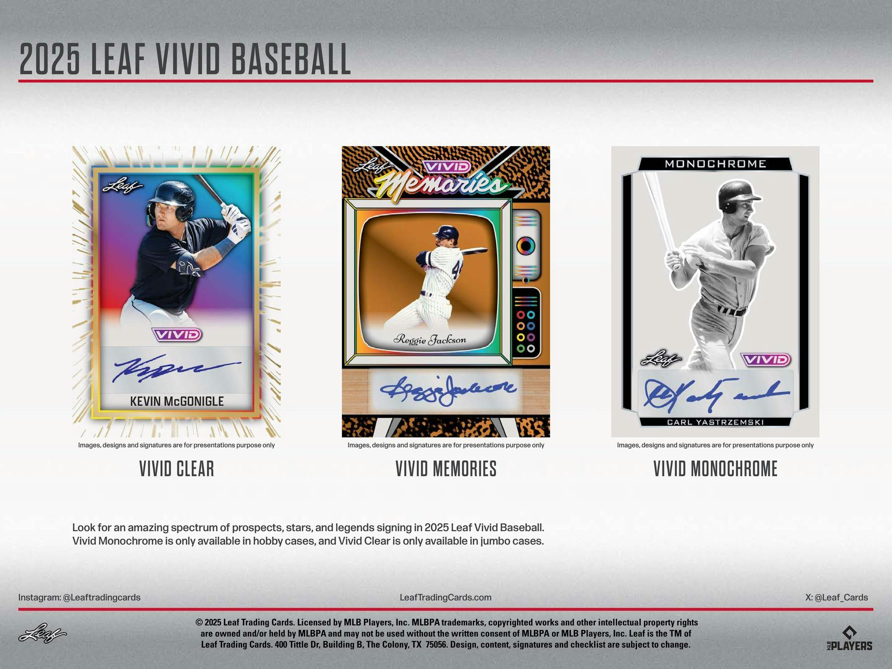 2025 Leaf Vivid Baseball Hobby Box (7 Autos) - MLB Hobby Box