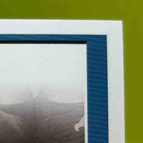 2025 Panini Donruss Woody Marks Rated Rookie Press Proof Black 1/10 #377 Texans - Sports Cards