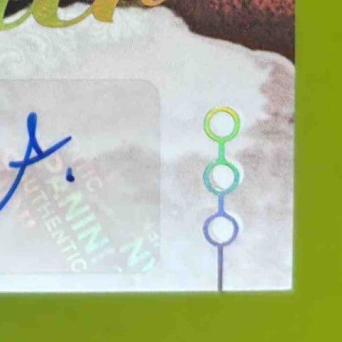 2025 Panini Luminance Tyler Allgeier Portrait Signatures Gold /50 Falcons - Sports Cards