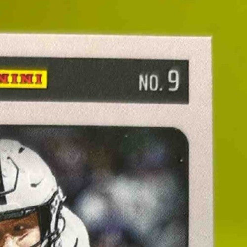 2025 Panini Luminance Tyler Warren Dynamic Rookies #9 Indianapolis Colts - Sports Cards