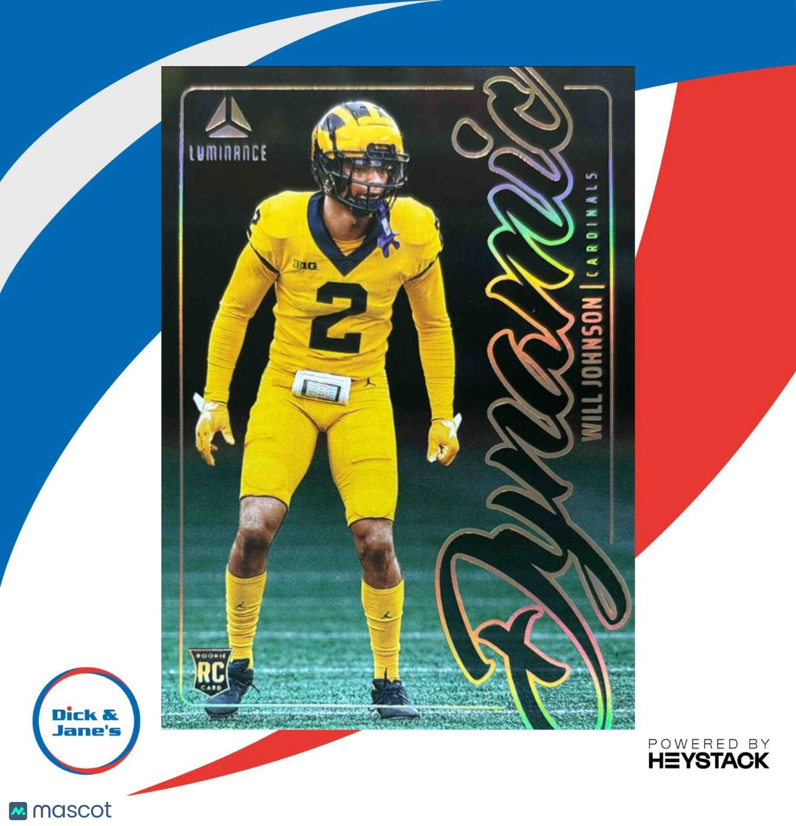 2025 Panini Luminance Will Johnson Dynamic Rookies #13 Arizona Cardinals - Sports Cards