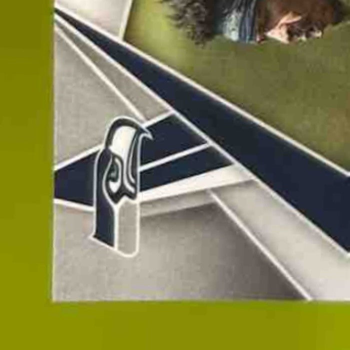 2025 Panini Phoenix Nick Emmanwori Green Winter 8/149 #245 RC Seattle Seahawks - Sports Cards