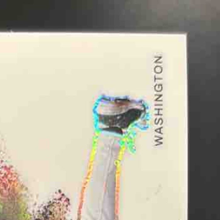 2025 Panini Prizm Dylan Crews Color Blast #10 Washington Nationals - Sports Cards