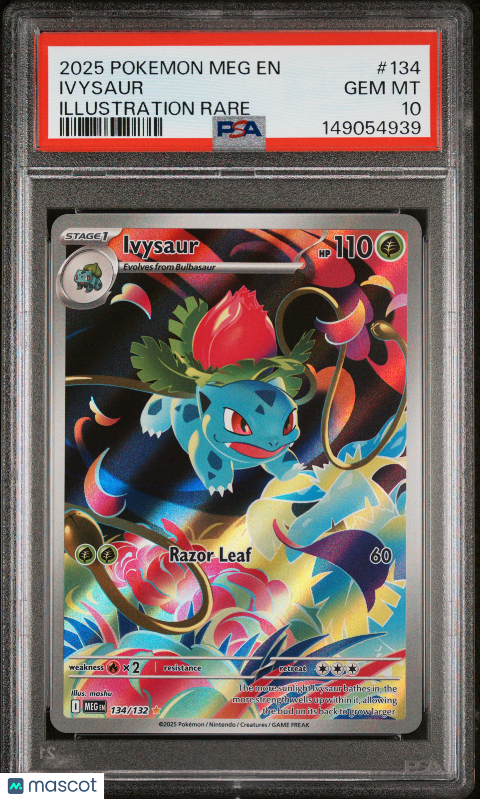 2025 Pokemon Mega Evolution Ivysaur #134 Illustration