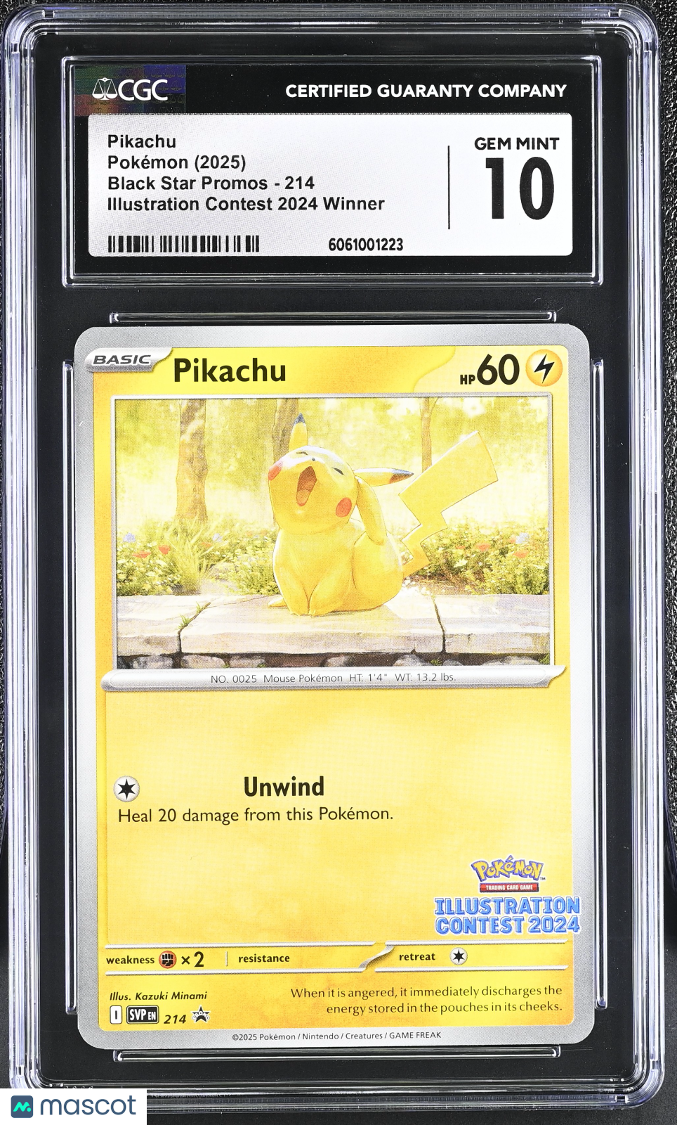 pokemon 2024 illustration contest cards 2025 Pokemon Promos Pikachu #214 Illustration Contest