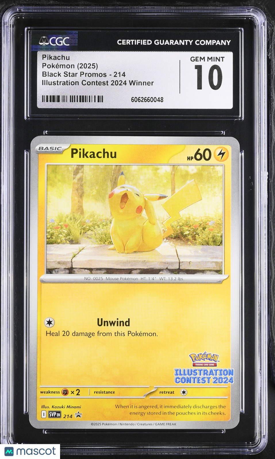 2025 Pokemon Promos Pikachu #214 Illustration Contest 2024 Winner CGC 10 GEM - Graded TCG/CCG