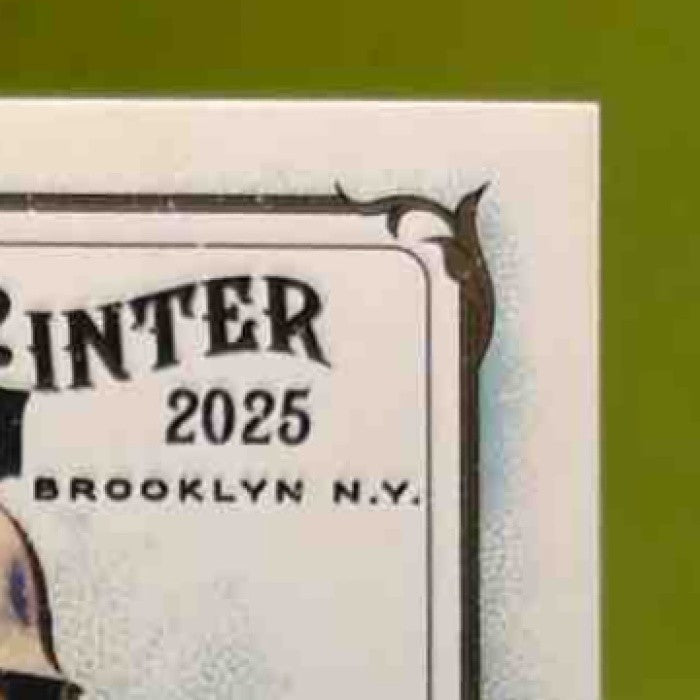 2025 Topps Allen & Ginter Vladimir Guerrero Jr. Relics Toronto Blue Jays - Sports Cards