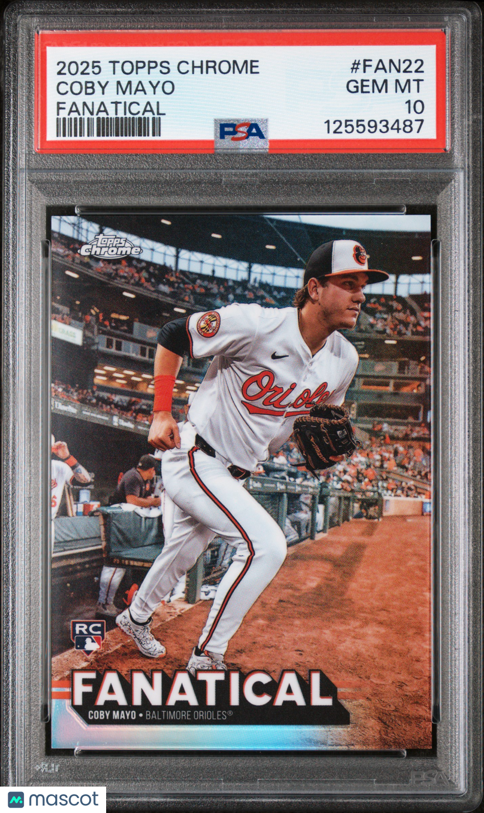 2025 Topps Chrome Fanatical Coby Mayo #FAN22 PSA 10 - Graded Sports Cards