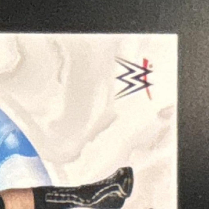2025 Topps Exalted Sheamus Black 1/1 #50 - Sports Cards