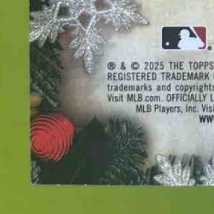 2025 Topps Holiday James Wood Player Relics #PR-JWO MEM Washington Nationals - Sports Cards