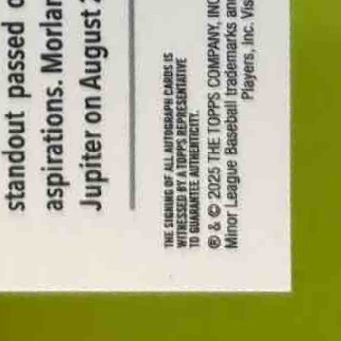 2025 Topps Pro Debut PJ Morlando Chrome Auto Gold /50 #PDC-163 Hammerheads - Sports Cards