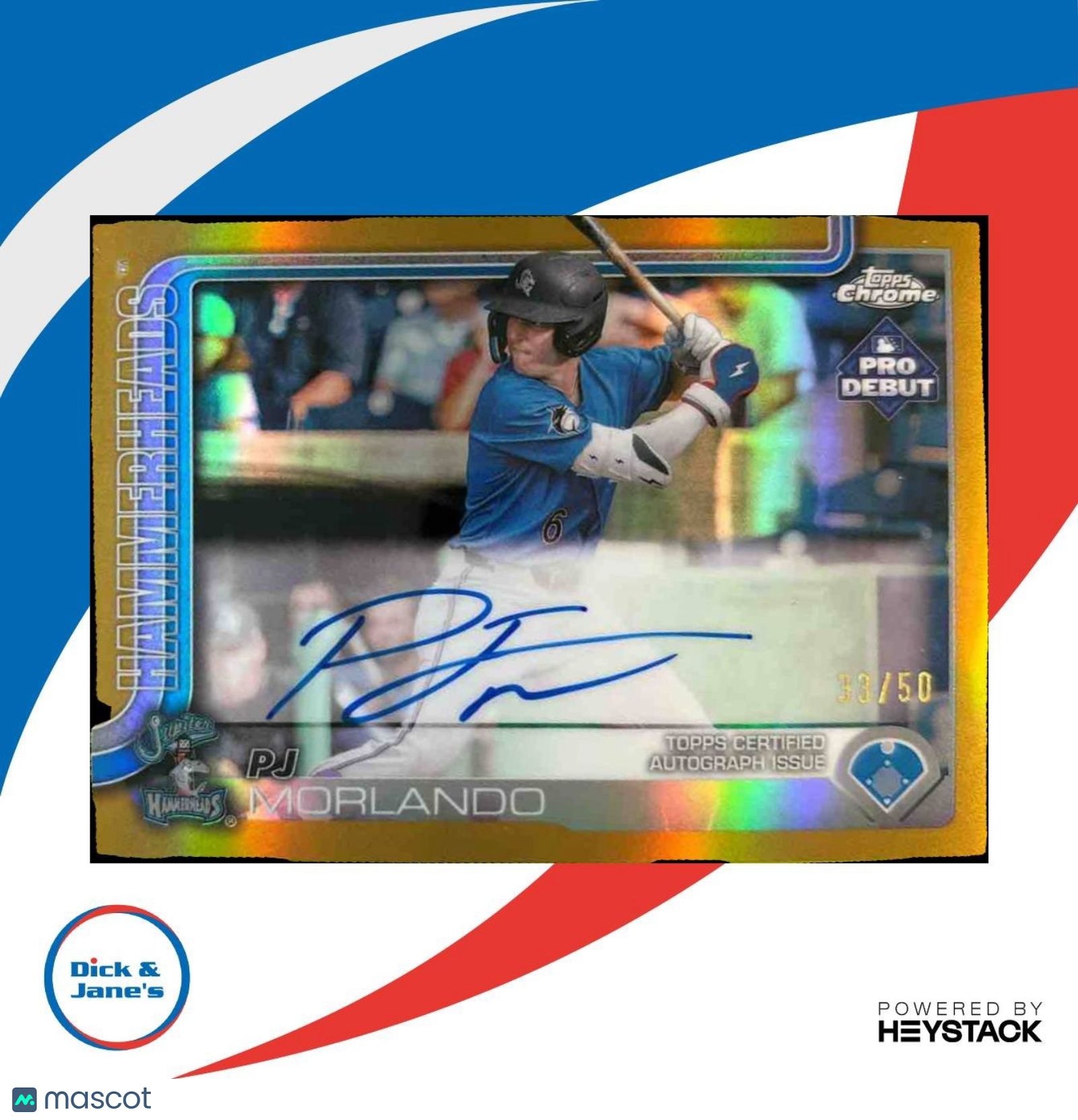 2025 Topps Pro Debut PJ Morlando Chrome Auto Gold /50 #PDC-163 Hammerheads - Sports Cards