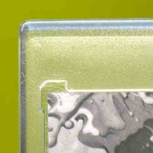 2025 Wild Card SPLAT Troy Polamalu /8 Blue - Steelers - Sports Cards