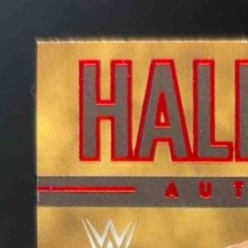 2022 Panini Chronicles WWE Rob Van Dam Hall of Fame Auto Red #HF-RVD