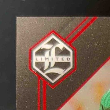 2023 Panini Limited Don Majkowski Ink Ruby Spotlight 3/25 Auto Green Bay Packers